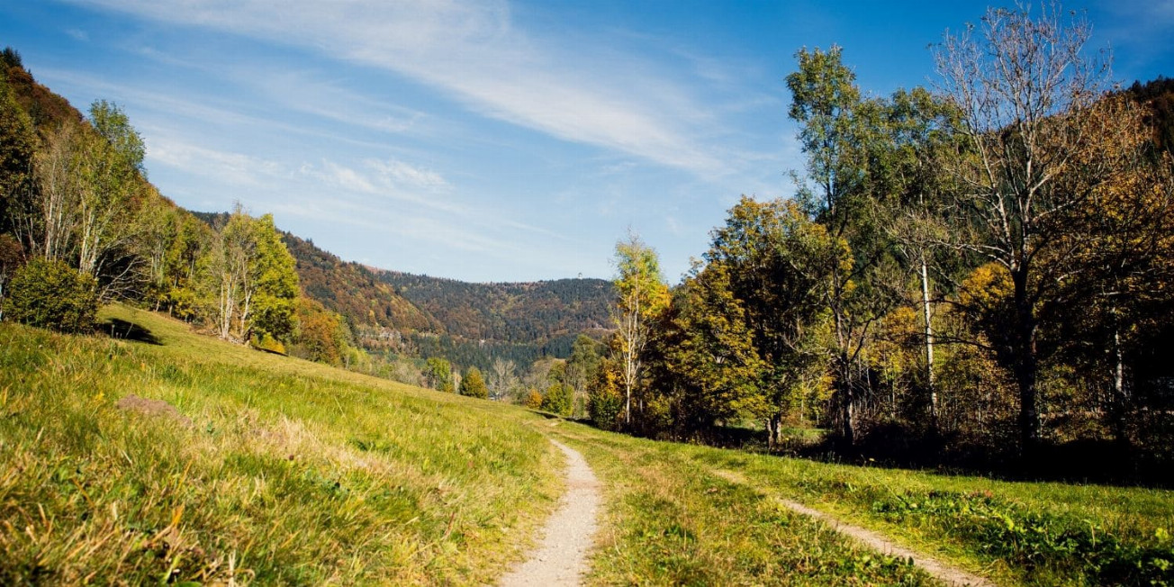 Top 3 Bergläufe im Schwarzwald